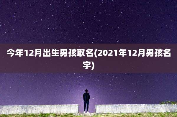 今年12月出生男孩取名(2021年12月男孩名字)