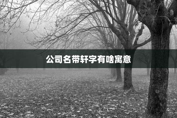公司名带轩字有啥寓意