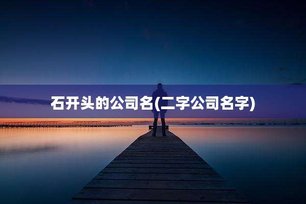 石开头的公司名(二字公司名字)