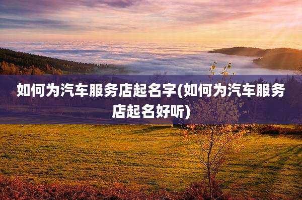 如何为汽车服务店起名字(如何为汽车服务店起名好听)