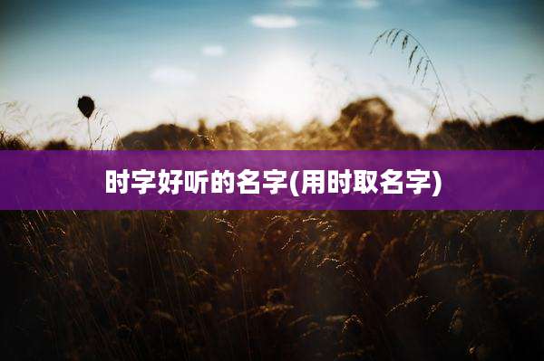 时字好听的名字(用时取名字)