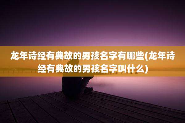 龙年诗经有典故的男孩名字有哪些(龙年诗经有典故的男孩名字叫什么)