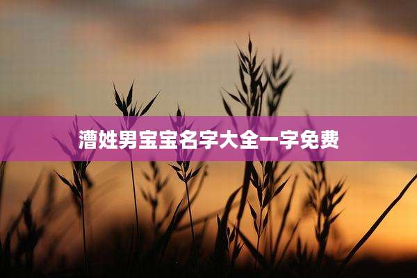 漕姓男宝宝名字大全一字免费