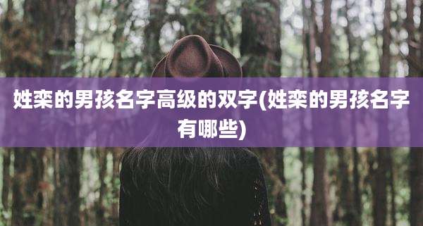 姓栾的男孩名字高级的双字(姓栾的男孩名字有哪些)