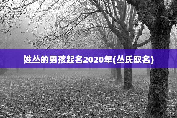 姓丛的男孩起名2020年(丛氏取名)