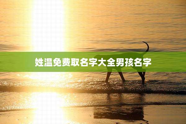 姓温免费取名字大全男孩名字