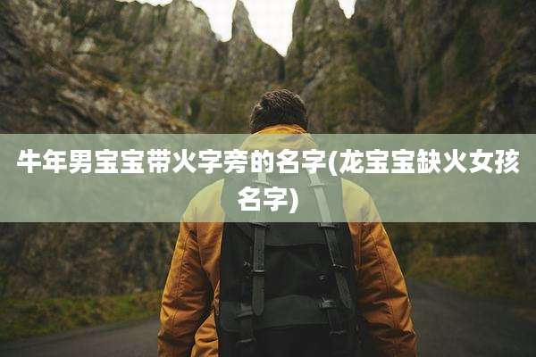 牛年男宝宝带火字旁的名字(龙宝宝缺火女孩名字)