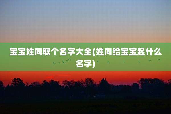 宝宝姓向取个名字大全(姓向给宝宝起什么名字)