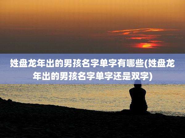 姓盘龙年出的男孩名字单字有哪些(姓盘龙年出的男孩名字单字还是双字)