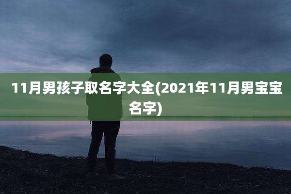 11月男孩子取名字大全(2021年11月男宝宝名字)