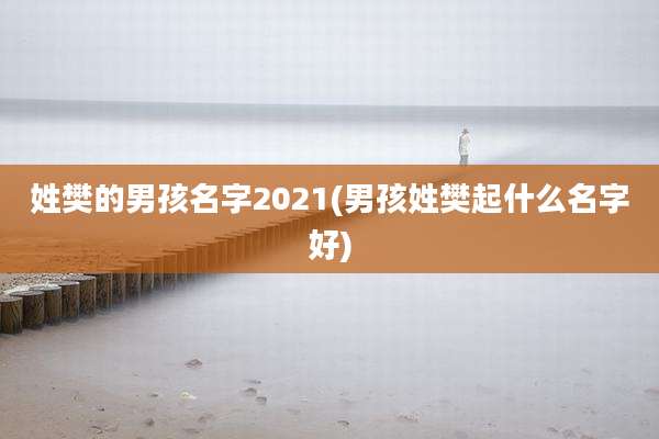 姓樊的男孩名字2021(男孩姓樊起什么名字好)