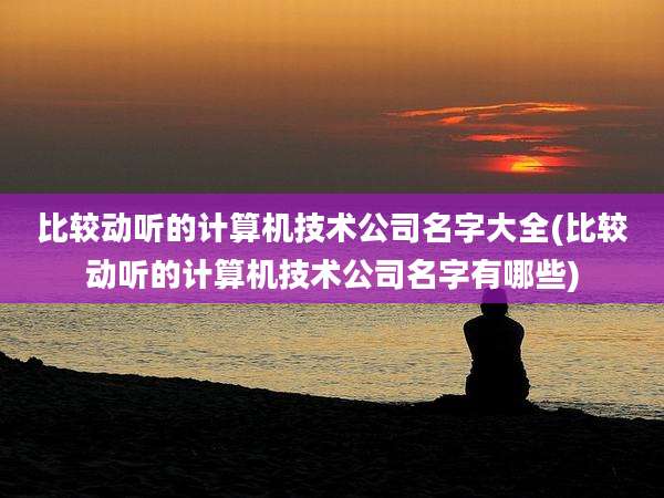 比较动听的计算机技术公司名字大全(比较动听的计算机技术公司名字有哪些)