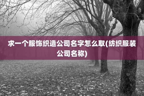 求一个服饰织造公司名字怎么取(纺织服装公司名称)