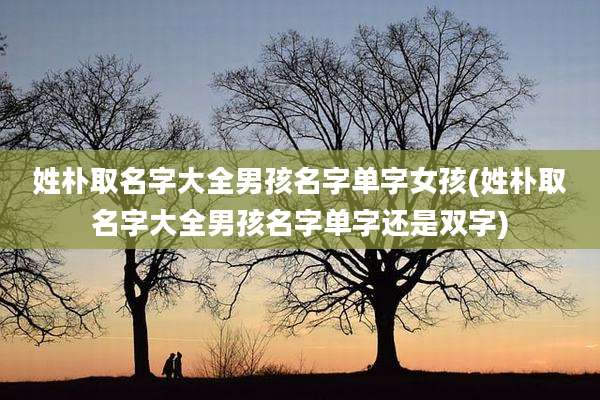姓朴取名字大全男孩名字单字女孩(姓朴取名字大全男孩名字单字还是双字)
