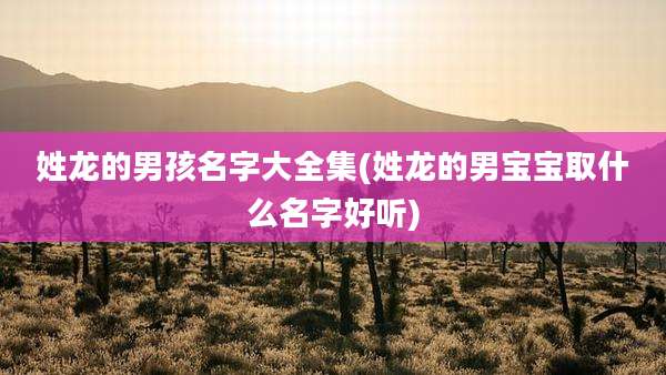 姓龙的男孩名字大全集(姓龙的男宝宝取什么名字好听)
