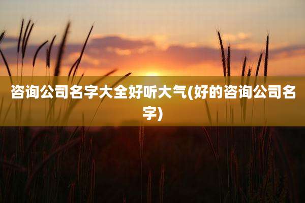 咨询公司名字大全好听大气(好的咨询公司名字)