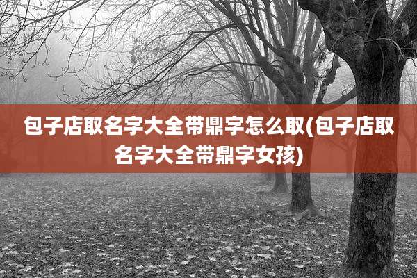 包子店取名字大全带鼎字怎么取(包子店取名字大全带鼎字女孩)