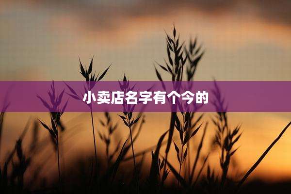 小卖店名字有个今的