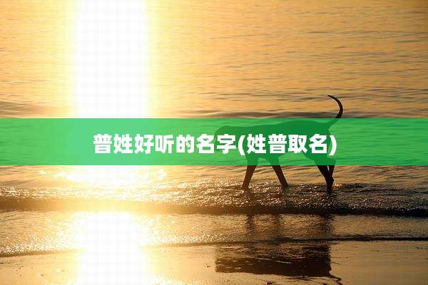 普姓好听的名字(姓普取名)