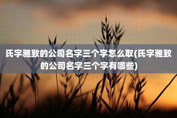 氏字雅致的公司名字三个字怎么取(氏字雅致的公司名字三个字有哪些)