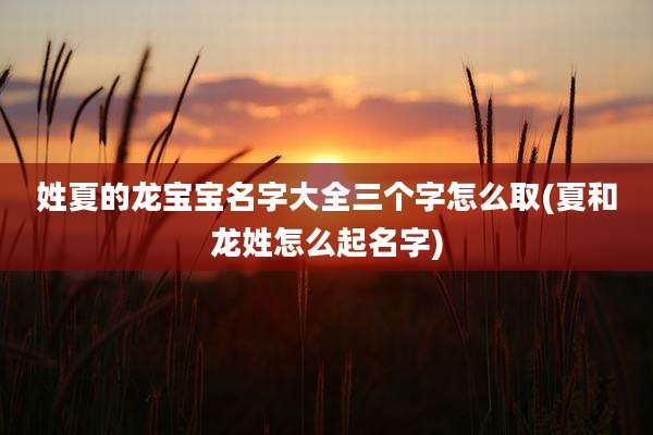 姓夏的龙宝宝名字大全三个字怎么取(夏和龙姓怎么起名字)
