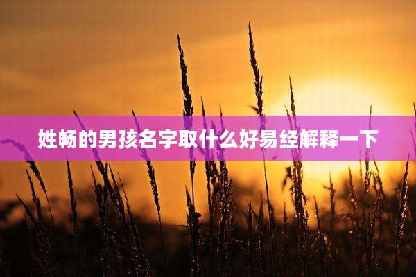 姓畅的男孩名字取什么好易经解释一下