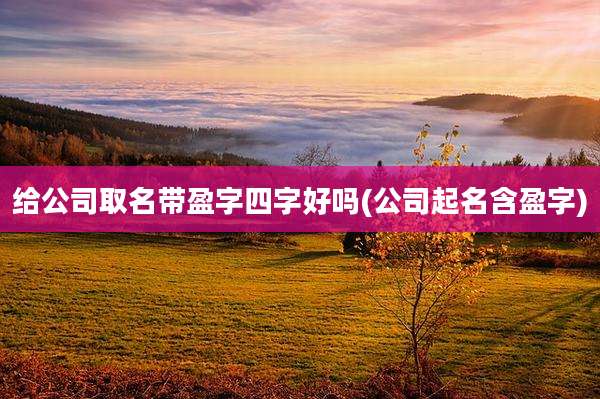 给公司取名带盈字四字好吗(公司起名含盈字)