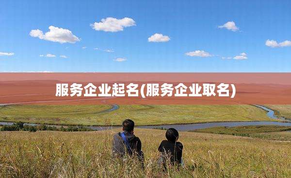 服务企业起名(服务企业取名)