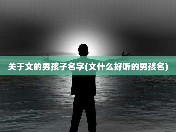 关于文的男孩子名字(文什么好听的男孩名)