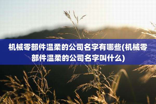 机械零部件温柔的公司名字有哪些(机械零部件温柔的公司名字叫什么)