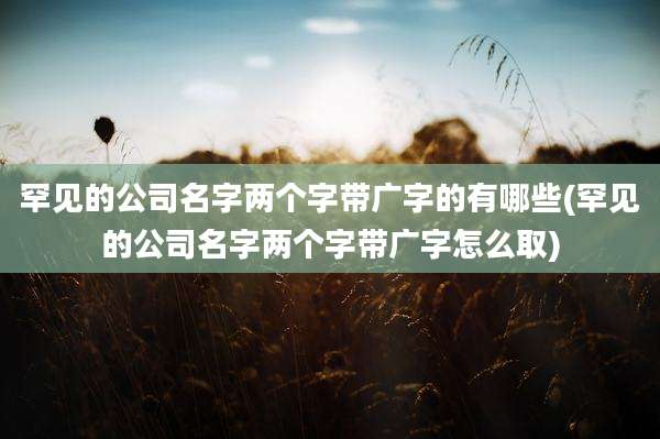 罕见的公司名字两个字带广字的有哪些(罕见的公司名字两个字带广字怎么取)
