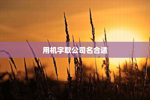 用机字取公司名合适