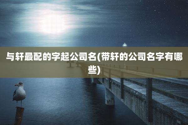与轩最配的字起公司名(带轩的公司名字有哪些)