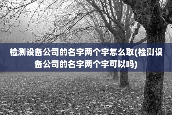 检测设备公司的名字两个字怎么取(检测设备公司的名字两个字可以吗)