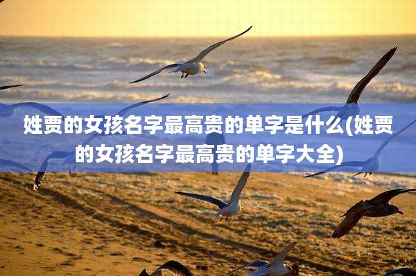 姓贾的女孩名字最高贵的单字是什么(姓贾的女孩名字最高贵的单字大全)