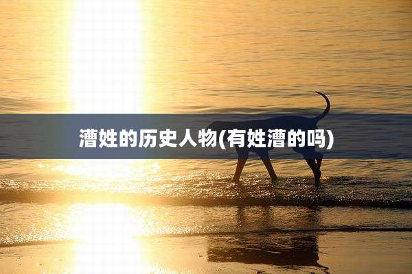 漕姓的历史人物(有姓漕的吗)