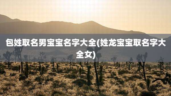 包姓取名男宝宝名字大全(姓龙宝宝取名字大全女)