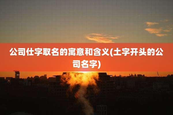 公司仕字取名的寓意和含义(土字开头的公司名字)