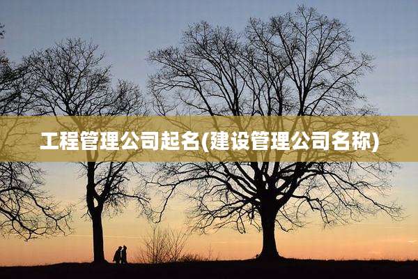 工程管理公司起名(建设管理公司名称)