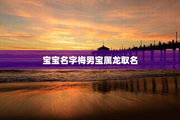 宝宝名字梅男宝属龙取名