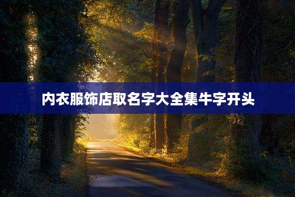 内衣服饰店取名字大全集牛字开头