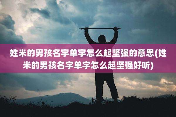 姓米的男孩名字单字怎么起坚强的意思(姓米的男孩名字单字怎么起坚强好听)