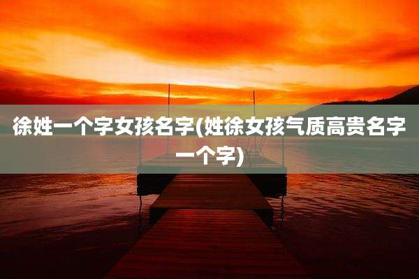 徐姓一个字女孩名字(姓徐女孩气质高贵名字一个字)