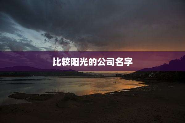 比较阳光的公司名字