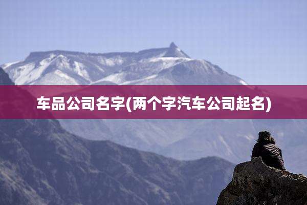 车品公司名字(两个字汽车公司起名)