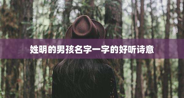 姓明的男孩名字一字的好听诗意