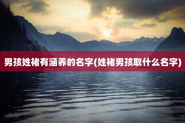 男孩姓褚有涵养的名字(姓褚男孩取什么名字)