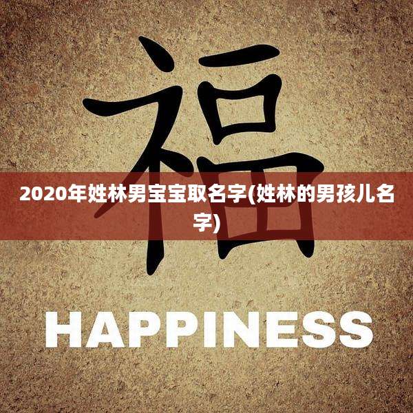 2020年姓林男宝宝取名字(姓林的男孩儿名字)