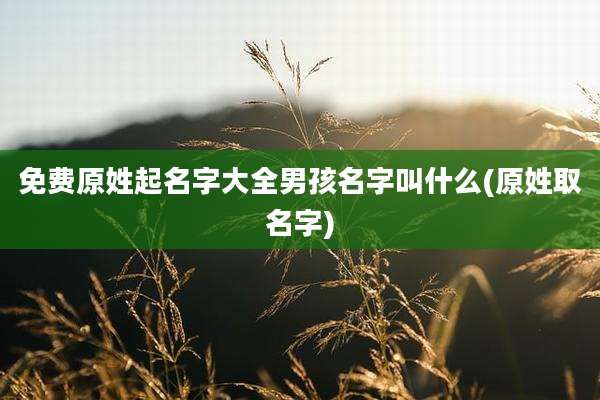 免费原姓起名字大全男孩名字叫什么(原姓取名字)