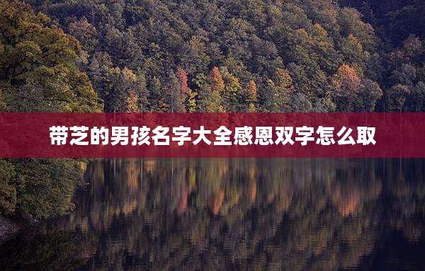 带芝的男孩名字大全感恩双字怎么取